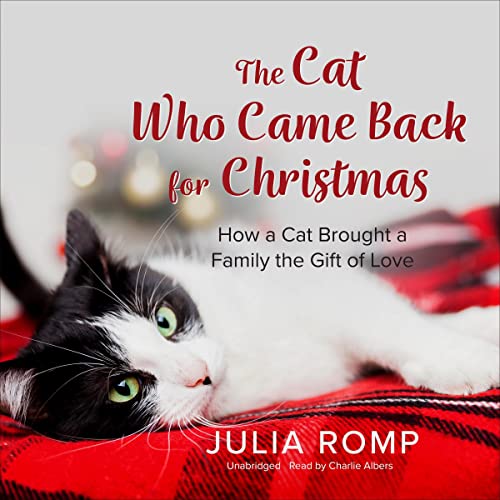 The Cat Who Came Back for Christmas by Julia Romp episode artwork