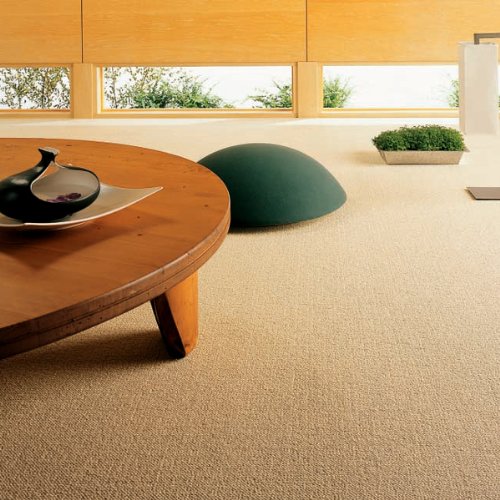 ȂˉƋ  J[ybg h_j R E[100 ]ˊ3(176x261) BC4311 145-04ba-