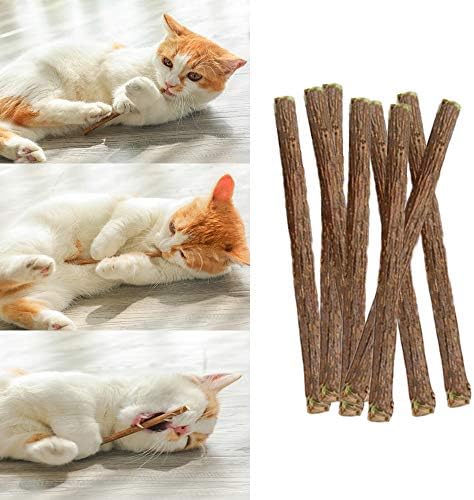 HZONGMINGZT Cat Chew Sticks Catnip Sticks Teeth Grinding Chew Toy for Cat Natural Matatabi Chew Sticks Dental Catnip Toys for Cat Kitten 30 Pcs
