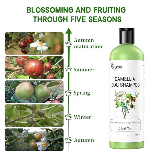 Dogshampooforallergiesitchingnaturalcamelliaoilpetshampooforsensitiveskindesheddingsmoothcoatforsmellydogsreducehairlossodorremoval16oz  Urban Country Home Decor Dog shampoo for allergies itching natural camellia oil pet shampoo for sensitive skin deshedding smooth coat for smelly dogsreduce hair loss odor removal 16 oz  urban country home decor