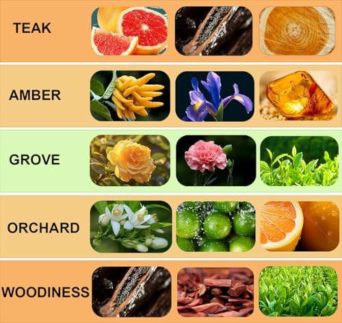 Car Air Freshener - Wood Air Freshener - Car Odor Eliminator - Natural Scent Starter Kit - Teak Scent