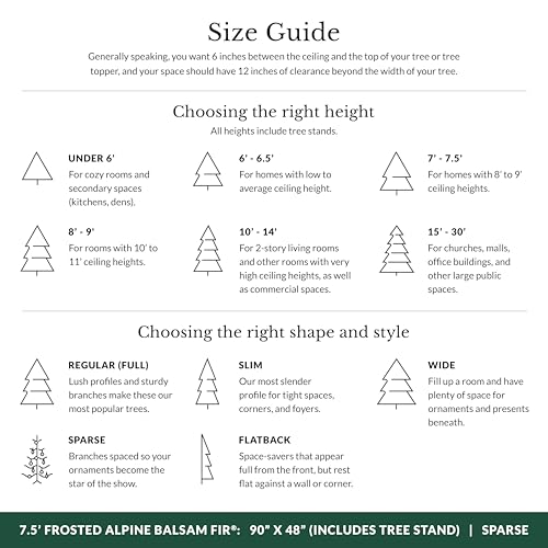 Image of Balsam Hill Frosted Alpine Balsam Fir - Snow-Kissed Artificial Christmas Tree with Pre-Fluffed Memory Wire Branches and LED Clear Fairy Lights, 7.5'