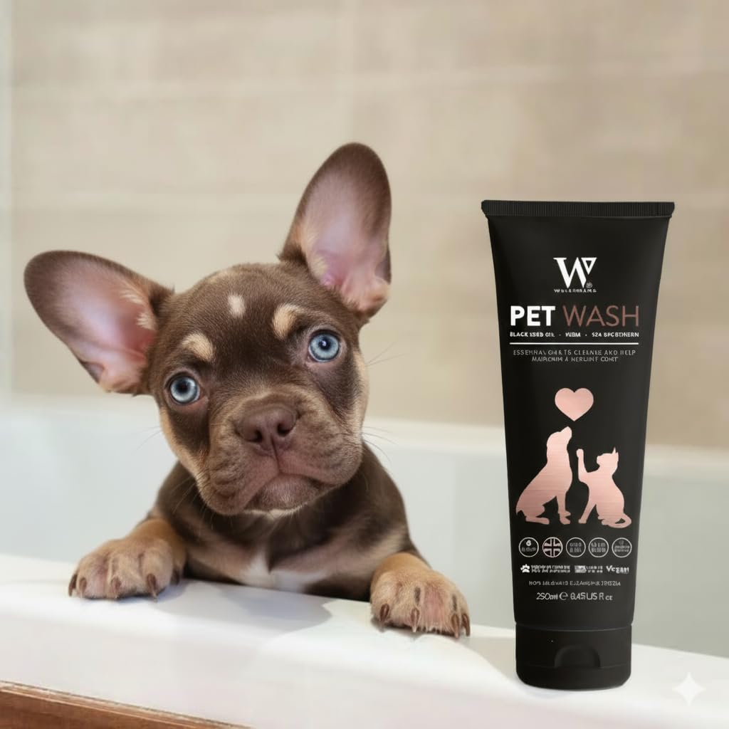 Watermans Shampoing de Luxe pour Chien 250ml Parfum Bubble Gum Shampoing Chien Peau Sensible Anti Irritation Hypoallergénique sans Parabènes sans Sulfates Végan Convient Chats
