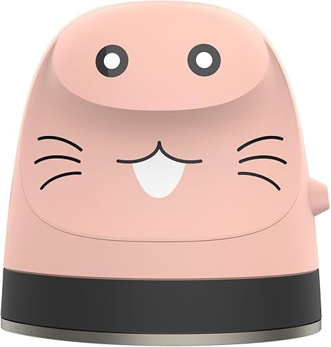 LAMPPE Mini máquina de prensa de calor, plancha de transferencia de calefacción portátil, mini planchas para manualidades para camisetas, zapatos,