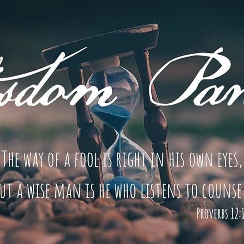 『Wisdom Panel』のカバーアート