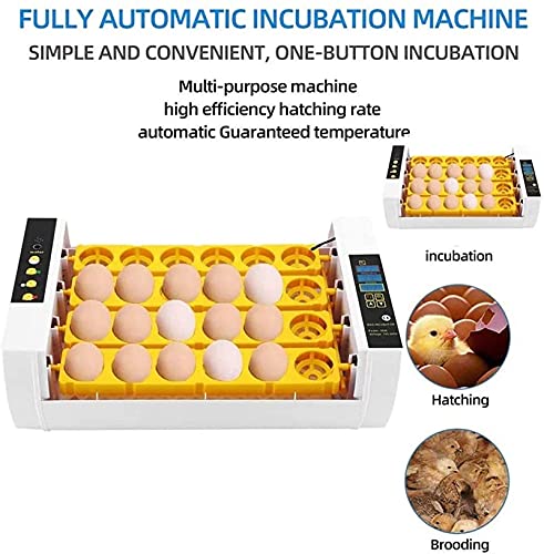 Automatische ei-incubator, 24 eieren geleid hoog-efficiëntie automatische temperatuurregeling, automatische ventilatie… - Afbeelding 7