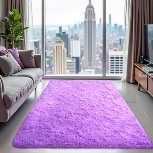 Purple Area Rugs for Bedroom Living Room, 3x5 Soft Fluffy Fuzzy Shag Plush Furry Carpet, Large Indoor Floor Mat for Kids Nursery Home Dorm Office Decor Aesthetic