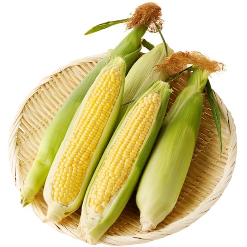 スーパースイートコーン(約4.5kg) とうもろこし 野菜 サラダ 園青果