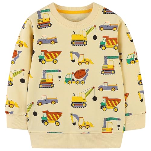 Image of AIWUHE Toddler Cotton Sweatshirt Boys Girls Pullover Long Sleeve Tops 2-6Y