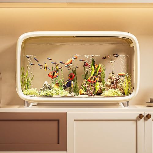 Petit aquarium betta en acrylique transparent avec décor d'escalade