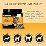 Pet Honesty Dog Allergy Relief Immunity Chews – Omega-3 Salmon Fish Oil Supplement, Probiotics for Dogs, Seasonal Allergies, Skin + Coat Health, Intermittent Itchiness (Salmon) - Image 5