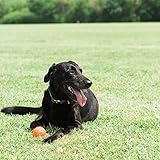 Chuckit 7404 Tennis Ball Medium - 4 Stücke