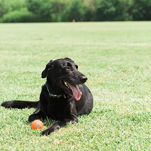 Chuckit 7404 Tennis Ball Medium - 4 Stücke