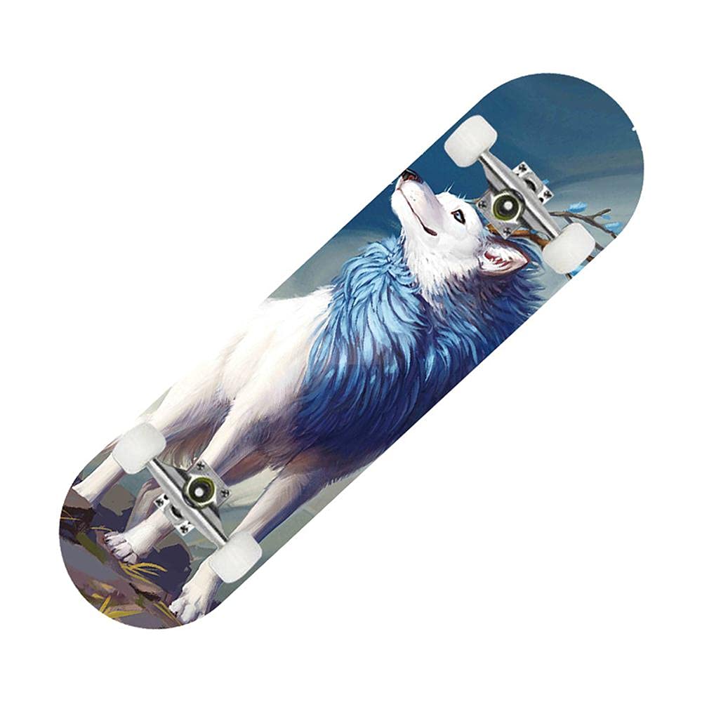 Skateboards Pro, Skateboard Complet 31 x 8 Pouces, érable Canadien à 8 Couches, Double Planche de Kick concave Cruiser Trick Skateboard pour Enfants débutants Adultes