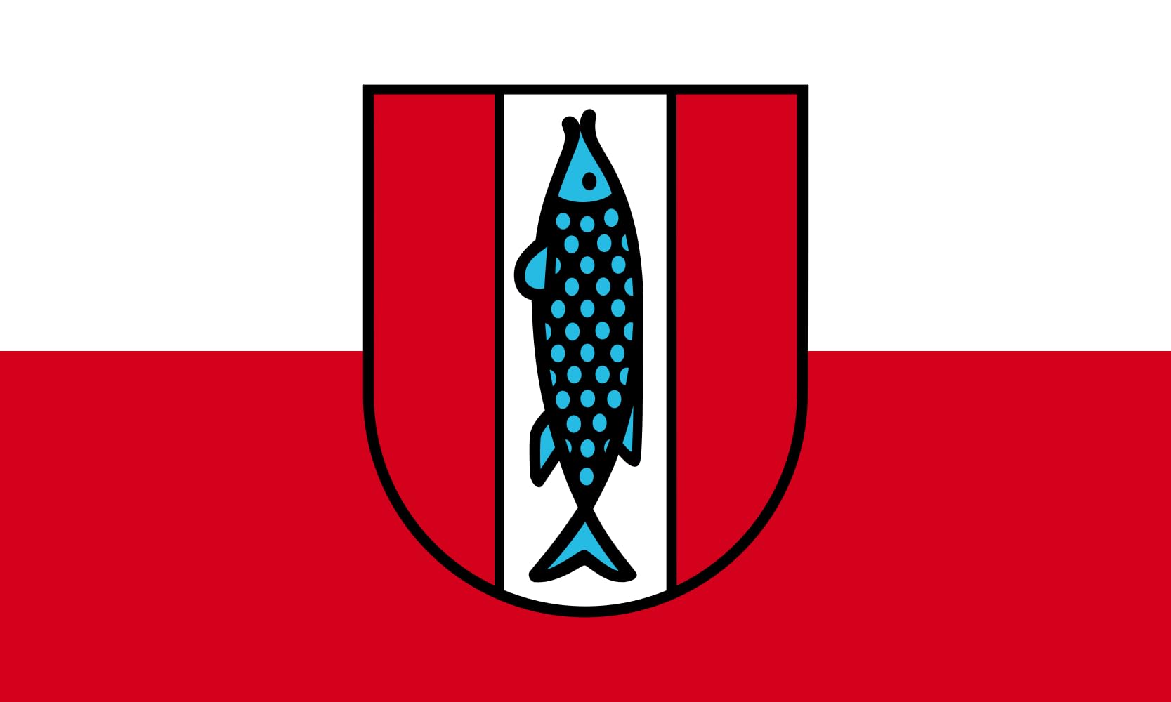 Drapeau Kaiserslautern grand format city flag Allemagne extérieur
