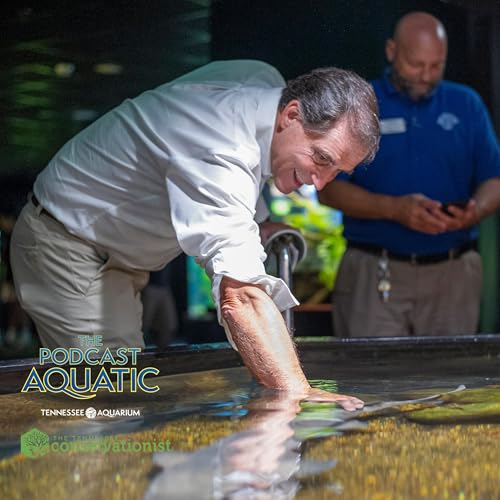 The Gold Standard (feat. AZA President Dan Ashe)