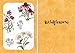 10 Step Drawing: Botanicals: Draw over 50 plants in 10 easy steps