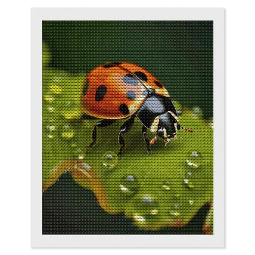 Peinture diamant coccinelle 5D FodPand, une idée cadeau créative pour débutants