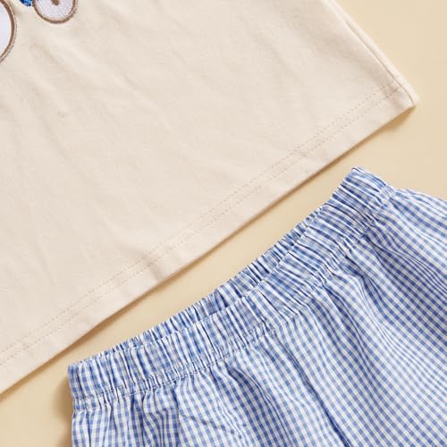 Image of Toddler Baby Boy Easter Rabbit Outfit Short Sleeve Bunny Carrot Smocked T-shirt Elastic Waist Shorts Summer Clothes