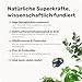 10-in-1 Zahnpflege Leckerli für Hunde - Fresh Smile 120 Snacks (350g) von mammaly - Gegen Mundgeruch, Zahnstein mit Pfefferminz, Seealge, Vitamin C, Petersilie u. v. m. für Maulhygiene, Mundpflege