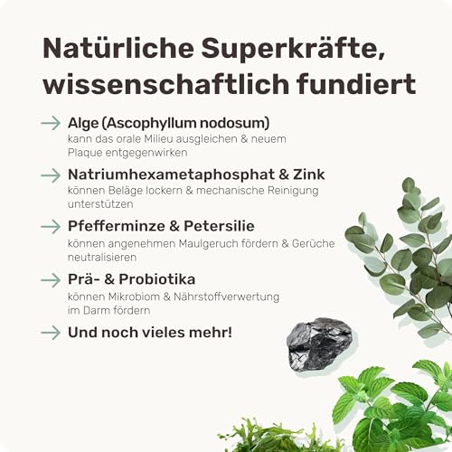 10-in-1 Zahnpflege Leckerli für Hunde - Fresh Smile 120 Snacks (350g) von mammaly - Gegen Mundgeruch, Zahnstein mit Pfefferminz, Seealge, Vitamin C, Petersilie u. v. m. für Maulhygiene, Mundpflege