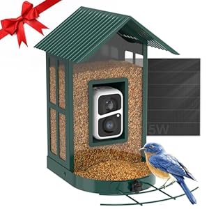 SOLIOM BF08- Metal Solar Bird Feeder Camera with AI Identify Bird Species, Wild Bird Watching Cam, Live View, Instant Notifications with 5W Solar Panel