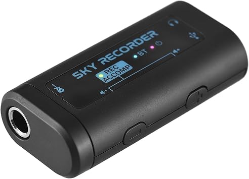 Guitar Audio Effects Interface, Portable Internal Recording Sound Card with Type-C for Recording Live Streaming Audio Interface Smartphone Tablets Plug and Play