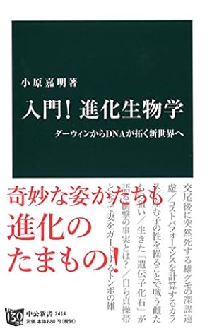 【初版】アメリカ文化入門　クヮイアット　ターピー　時事新書 初版】アメリカ文化入門 クヮイアット ターピー 時事新書