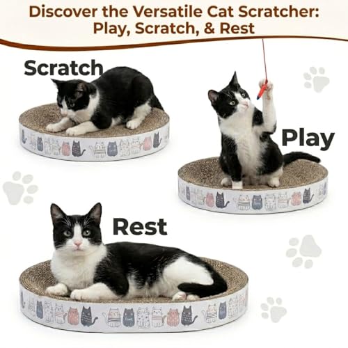 Rascador ovalado para gato 41.9x26.9x5.5 cm cartón miniatura 4