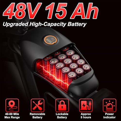 WynRyd 1000W Fast Ebike