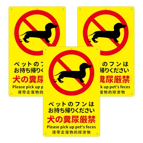 3 Zbg ӊNWy̕AցzF 315mm×200mm1mm Fϋvu pۉH+6ӏ5mmvplŔ TC xŔ ZLeB U fh~   X ԏ h OΉ (A55)