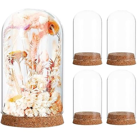 IMIKEYA 5Pcs The Bell Jar Glass Cloche with Rustic Wood Base, Tall Clear Decorative Glass Dome Display for Plants, Curios, Keepsakes, Heirlooms Cover