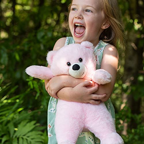 Vermont Teddy Bear Pink Teddy Bear - Teddy Bears For Babies, Pink, 14 Inch #TOP1