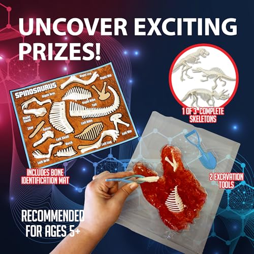 Image of Dissect-It Discover-It Dinosaur Dig Kit, Dissecting Gel Kids Science Kit Project to Learn Anatomy, STEM Toys for Ages 6 and Above