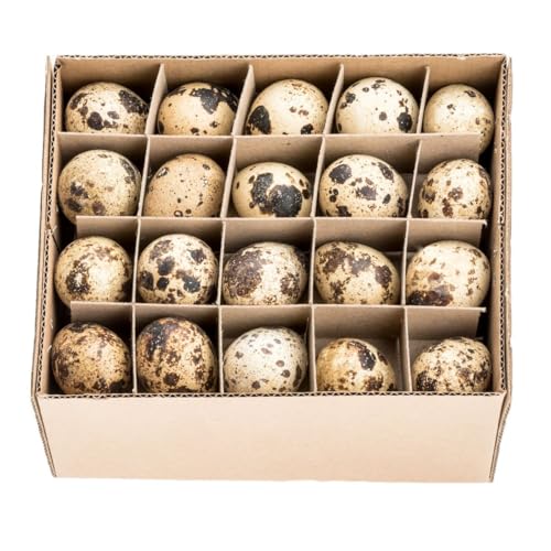 NaDeco Wachteleier Natur 60 Stück ausgeblasen & gereinigt Ostereier Ostern Osterdeko Deko Dekoration Osterdekoration Dekoeier zum DIY basteln & bemalen Eier Coturnix Japonica Frühling Tischdeko