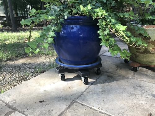 Bosmere JEN-2087 S18410 Down Under Plant Caddie thumb #9