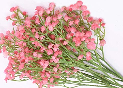 ySRrabbitz^ ݑ  JX~ ݂ { A[eBVt[ ԑ (sN. 6{Zbg)