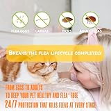 Zoom IMG-2 pets4luv collare antipulci e zecche Zoom IMG-2 pets4luv collare antipulci e zecche