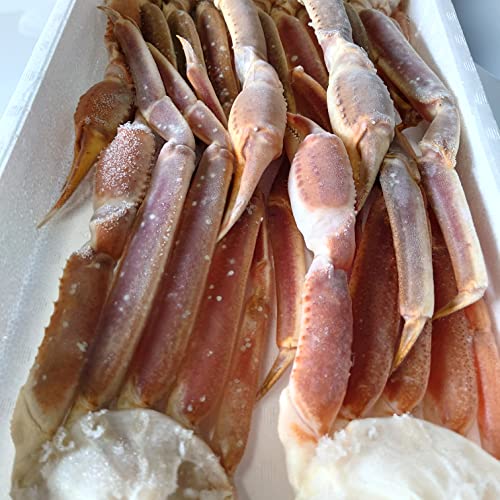 킢I ⓀYCKj 2kg 5LTCY ϔ YCKjMtg ĂKj