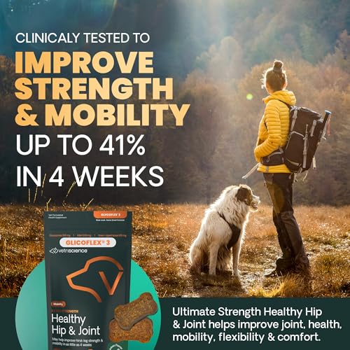 VetriScience Extra Strength Healthy Hip & Joint Chews, GlycoFlex 3, Glucosamine, Green-Lipped Mussel, Joint Support Supplement for Dogs, Promote Mobility & Soothe Joint Discomfort, Chicken, 120 Count