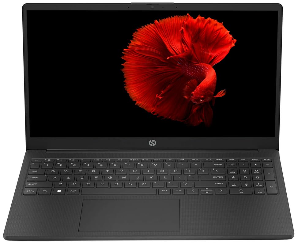 Amazon.com: HP Essential 15.6