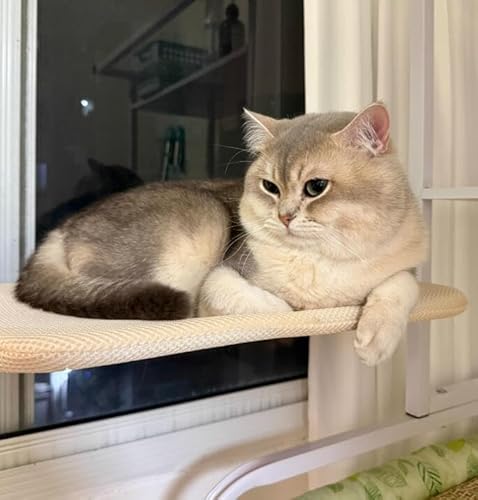 ܂肽ݎLEBhEp[` 18C`x12C` L݂艺nbNEBhE ʋCz ӃTxbh e10kg gCANZT[ L ybgpi