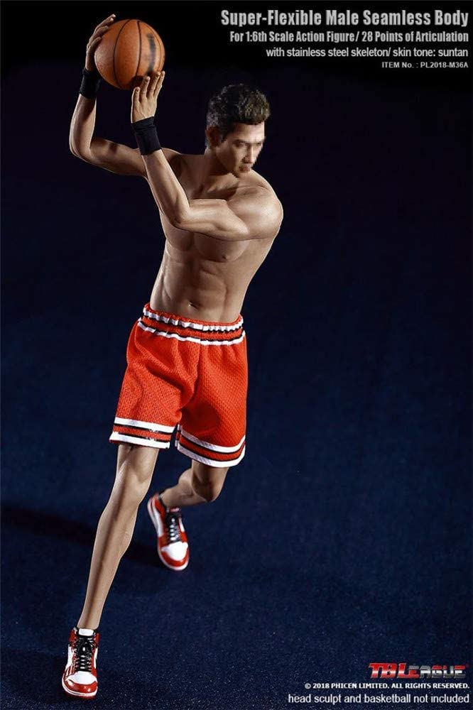 Amazon.co.jp: HiPlay TBLeague 1/6 男性 シームレス フィギュア