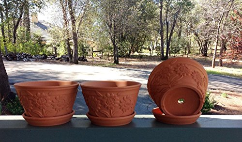 Goodman And Wife Set Of 3 Raised Sunflower Embellished Natural Terracotta Garden Pot With Tray #TOP1