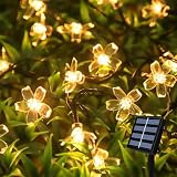 Quintrost Solar Cadena de Luces Flors Exterior, 6.5M 30 LED Solares Luces de Hadas Flor de Cerezo Impermeable 8 Modos, Flors Guirnalda Luces para Exterior, Fiesta, Jardín, Patio Decorativas