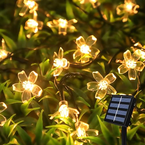 Quintrost Guirlande Lumineuse Fleurs Solaire Extérieure, 6.5M 30 LED Guirlandes Lumineuses Fleur de Cerisier Étanche 8 Modes, Lumière Décoration pour...