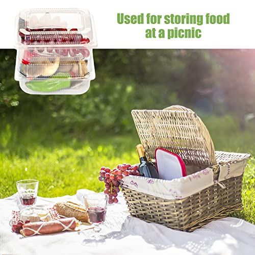 Xanllaxa SAS646 100 Pcs Clear Plastic Square Hinged Food Container,Plastic Take Out Containers,Disposable Clamshell Food Containers thumb #3