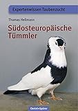 tümmler  Südosteuropäische Tümmler: Expertenwissen Taubenzucht (Schriftenreihe für Taubenzucht)