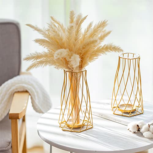 Sziqiqi Metalen Draad Glazen Vaas Voor Bloem, Moderne Gouden Bloemenvaas Voor Pampasgras Geometrische Tulpenvaas Voor Tafel Decoratieve Knopvaas Voor Woonkamer Eetkamer Slaapkamer Bruiloft Middelpunt - Afbeelding 3