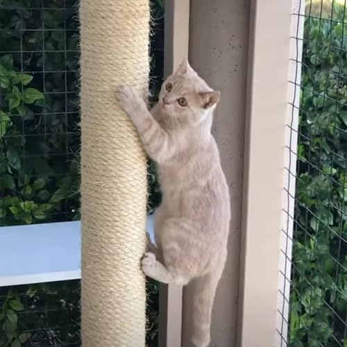 Cuerda de sisal para rascador de gatos ideal para renovar los postes de juego en tu salón 8
